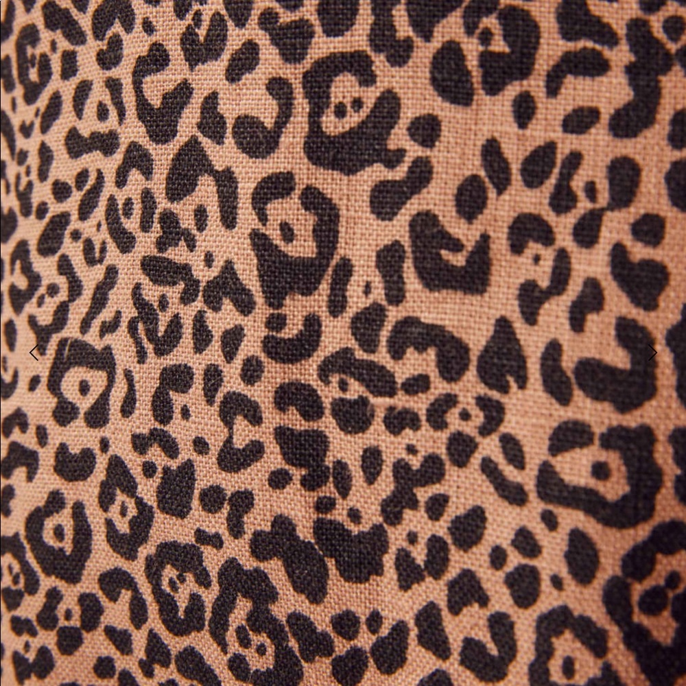 Reformation Cheetah Print Dress - Picture 4 of 4